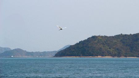深圳绝美小岛景点介绍,深圳有哪些绝美的海景