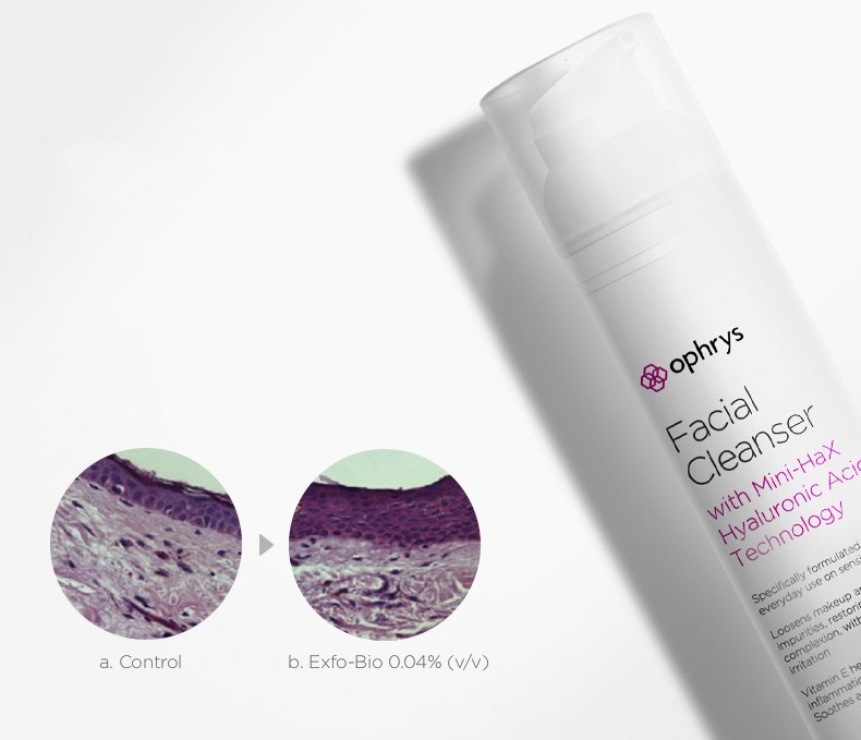 闂鸿湝绉佽棌娲侀潰娓呭崟,闂鸿湝娲侀潰蹇呭娓呭崟