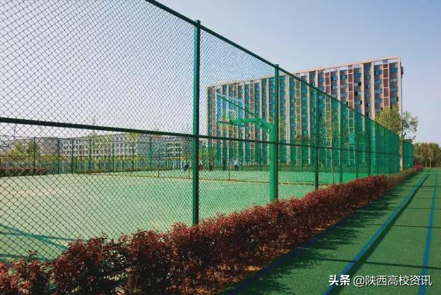 西安科技大学高新学院获评“2019年陕西省十佳网络口碑本科高校”