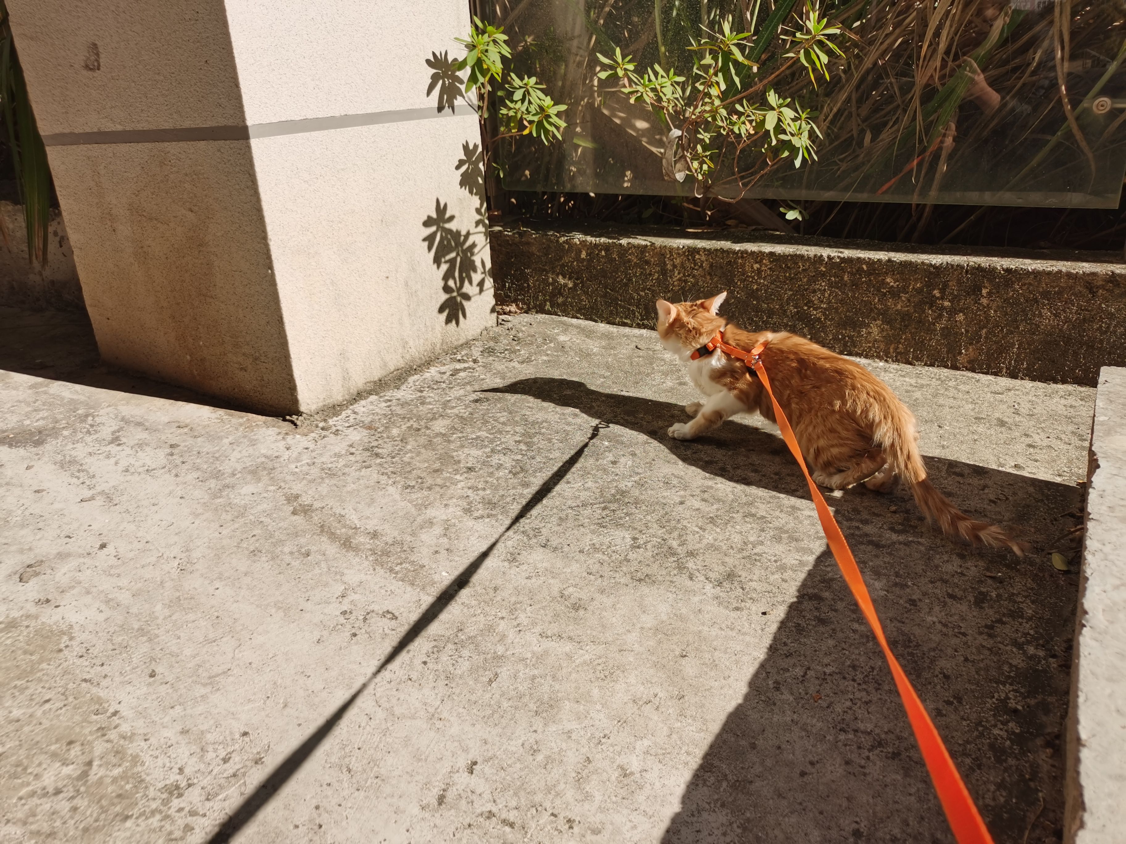 华为nova65g2022年值得买吗,华为nova65g深度评测