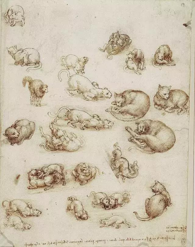 意大利艺术家达芬奇画作,达芬奇的画全部作品图片