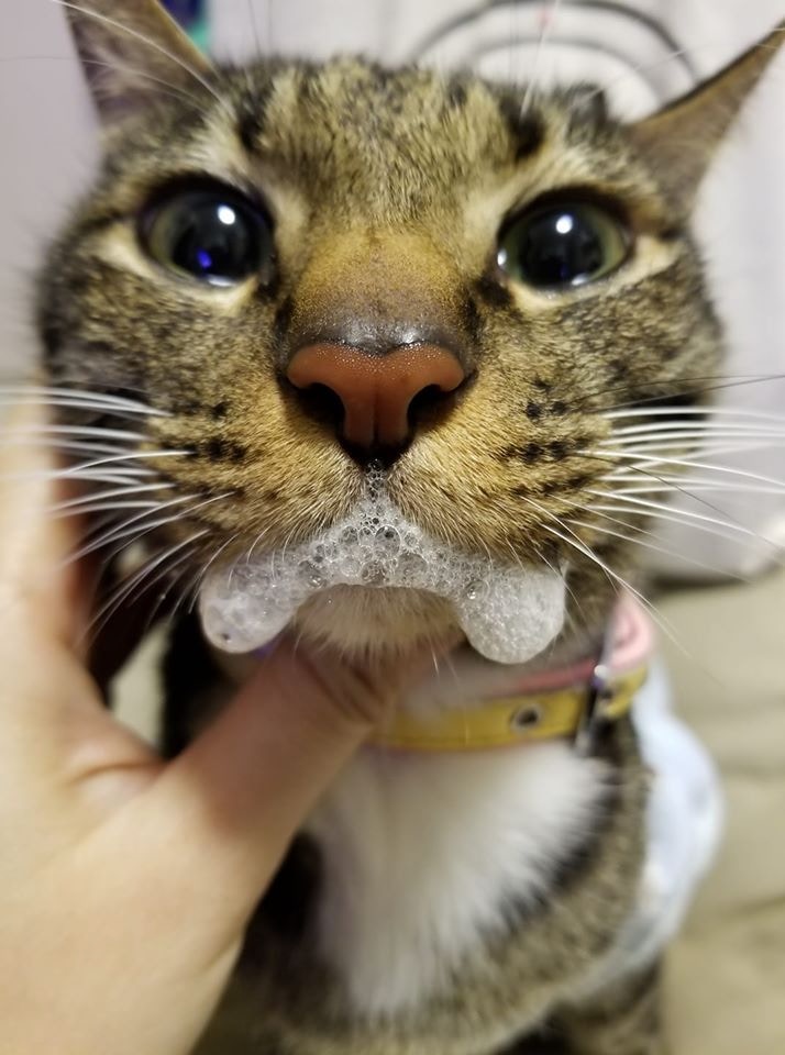 褰卞笣鐚挭婕旀妧鍙ｅ悙鐧芥搏,褰卞笣鐚挭