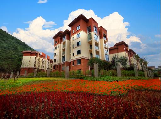 重庆贵州避暑旅游景点,离重庆最近的贵州避暑胜地