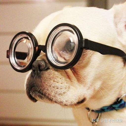 近视能学车吗,近视可以学汽车类吗