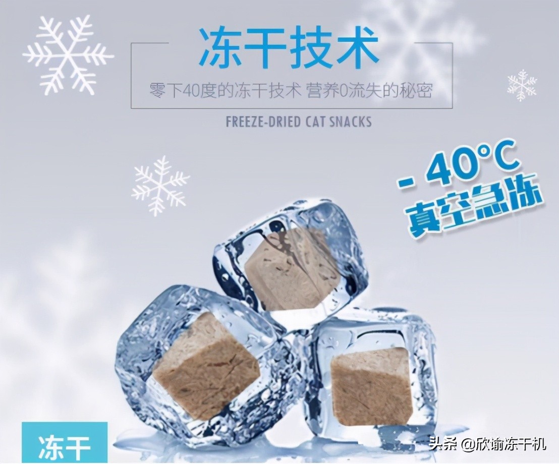 污泥真空干燥机原理,耙式真空干燥机原理