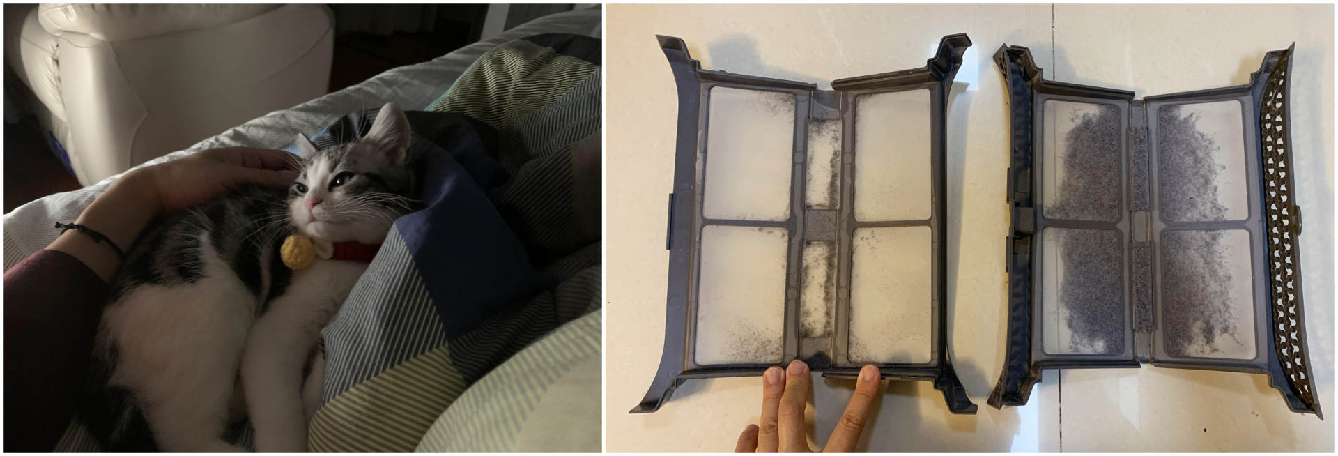 618值得期待的家电推荐,618来了你们都选了哪些家电