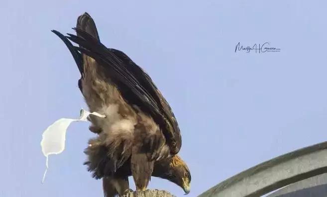 女性美白抗衰老秘诀,为什么中国女生重视美白