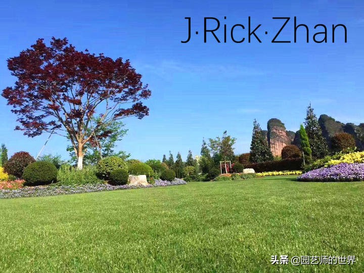 怎样种植草坪技术,果岭草坪的种植养护方法及技巧