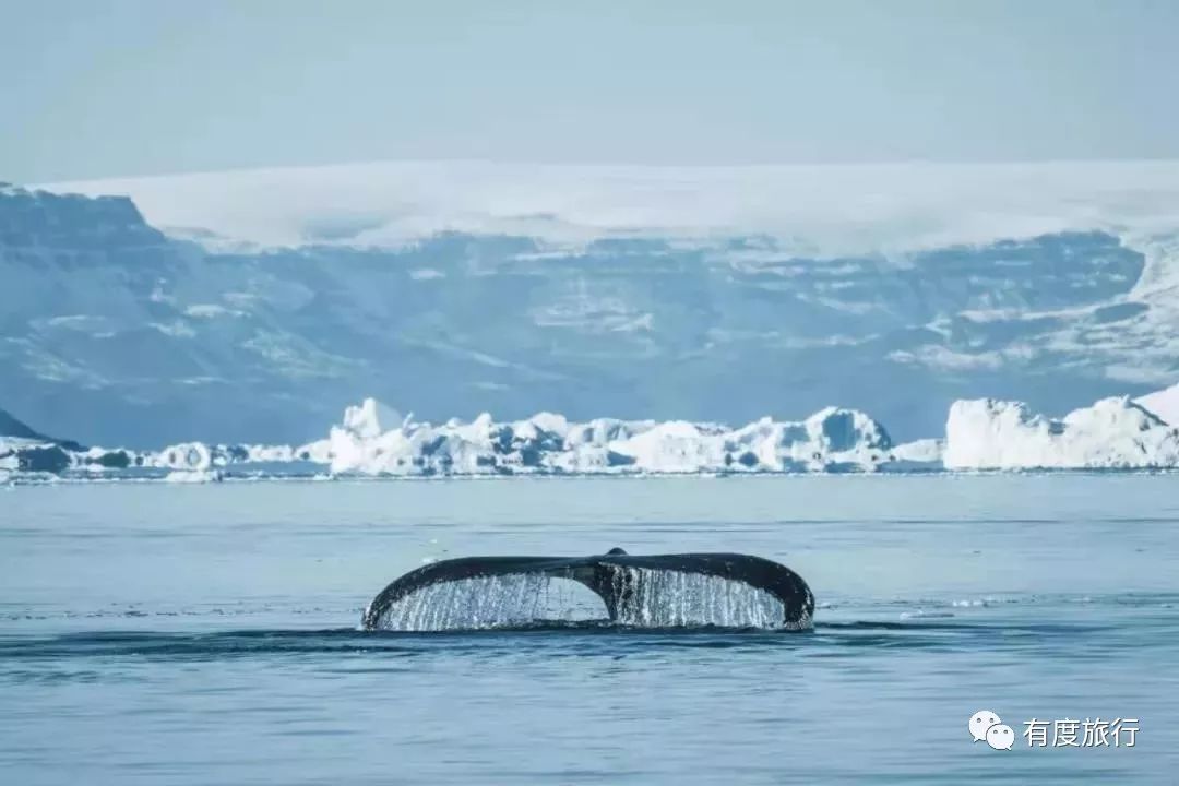 格陵兰|人间最后的纯净之地——格陵兰岛之行前必读