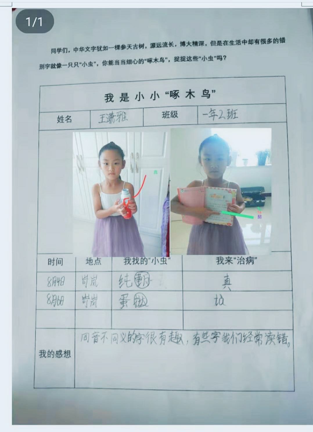 小学啄木鸟行动校外纠正错别字,啄木鸟找错别字实践活动