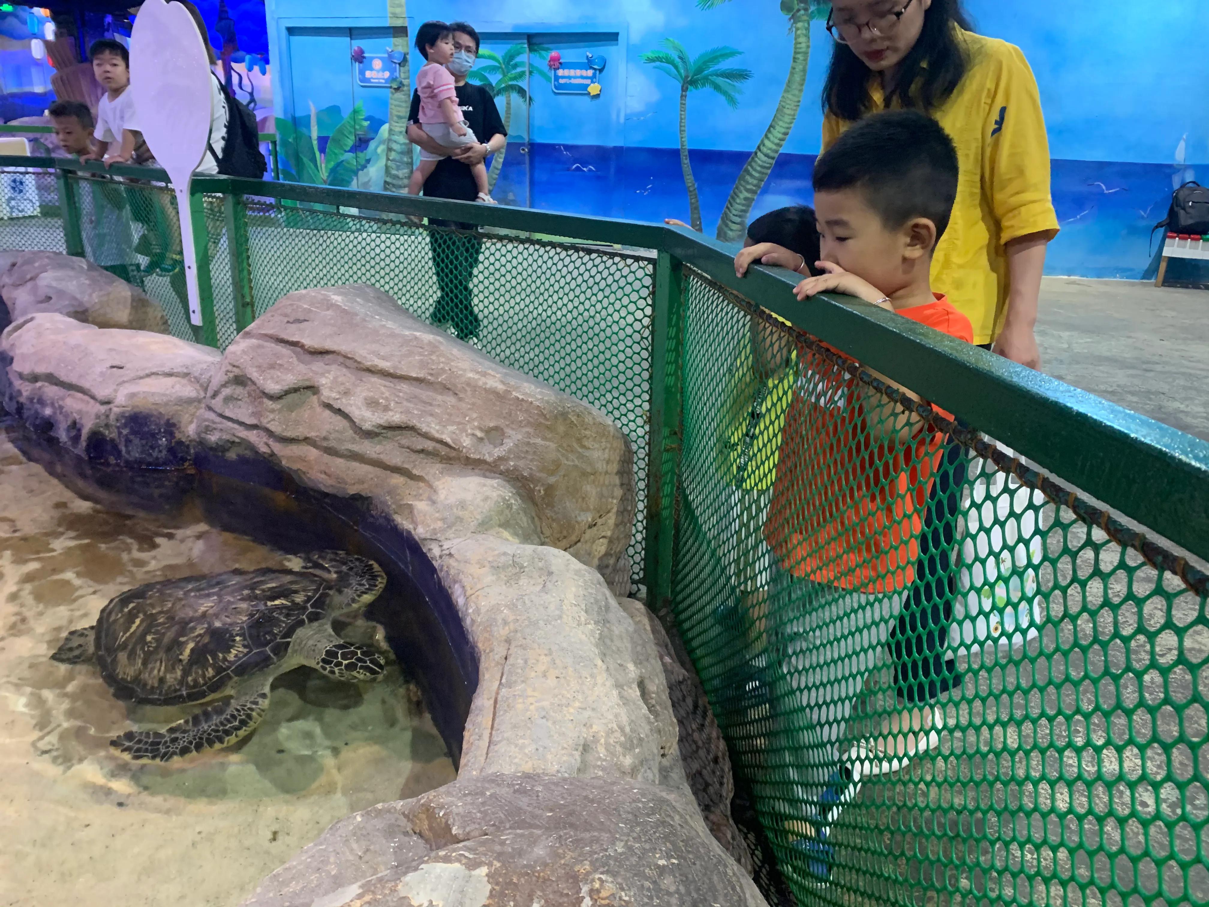 杭州烂苹果乐园项目亲身体验,杭州烂苹果乐园人多吗