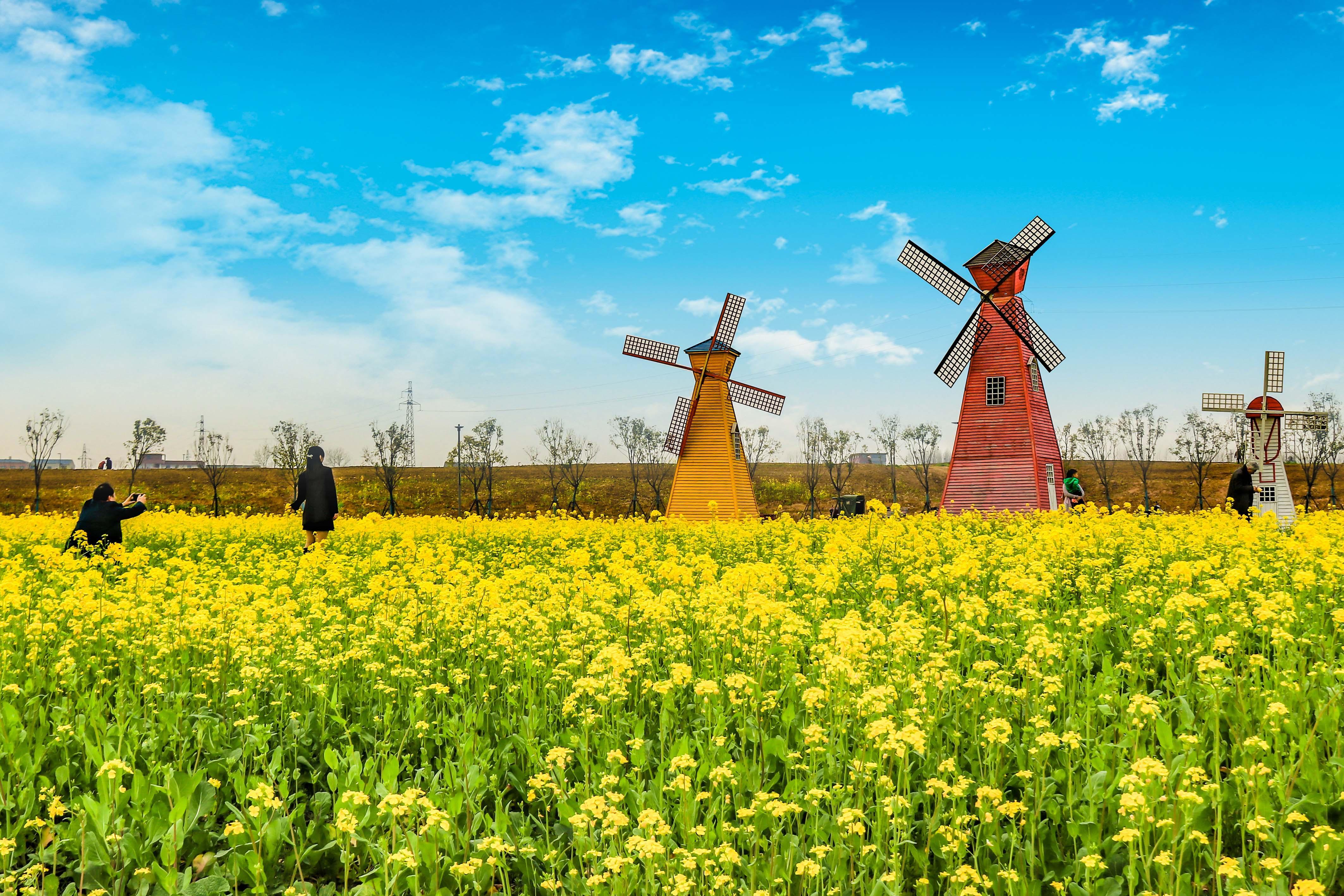 2021安徽第一个通地铁县城,安徽省通地铁的城市