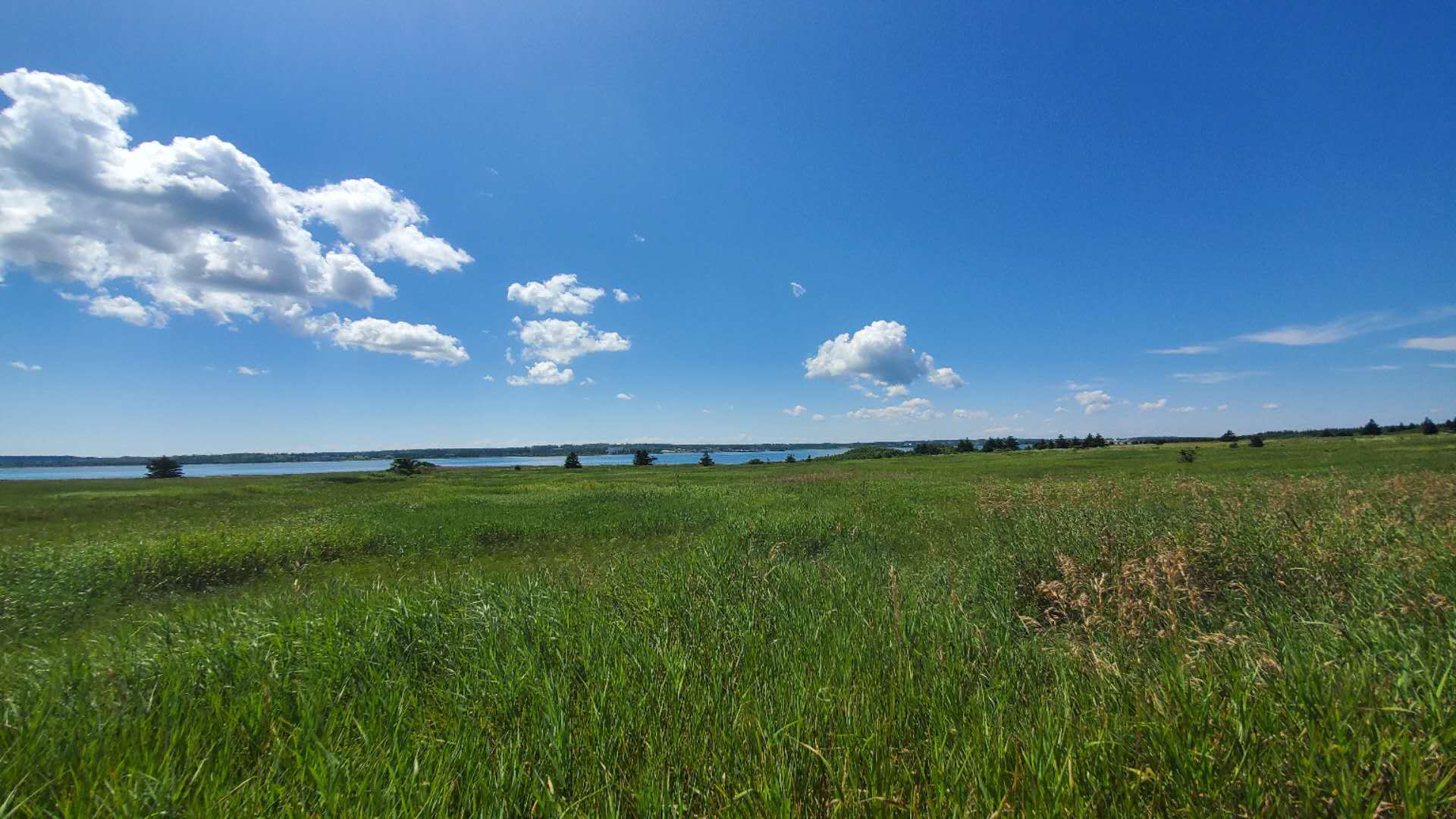 加拿大地图爱德华王子岛,加拿大的爱德华王子岛