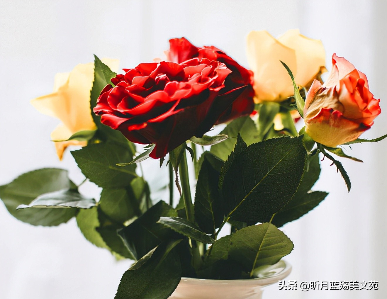 真爱难忘记，我牵挂你一生