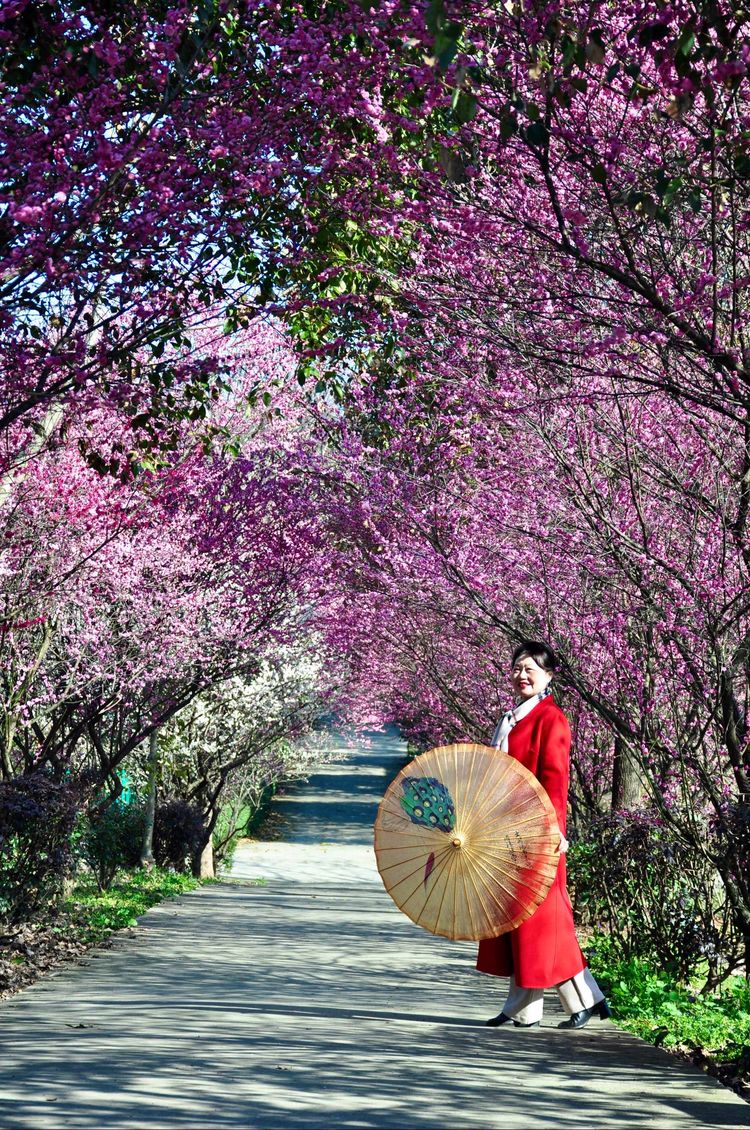 傅家边野营,走进金溪傅家村