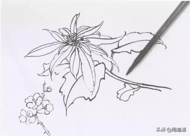 勾线笔每个型号的用处,最常用的勾线笔