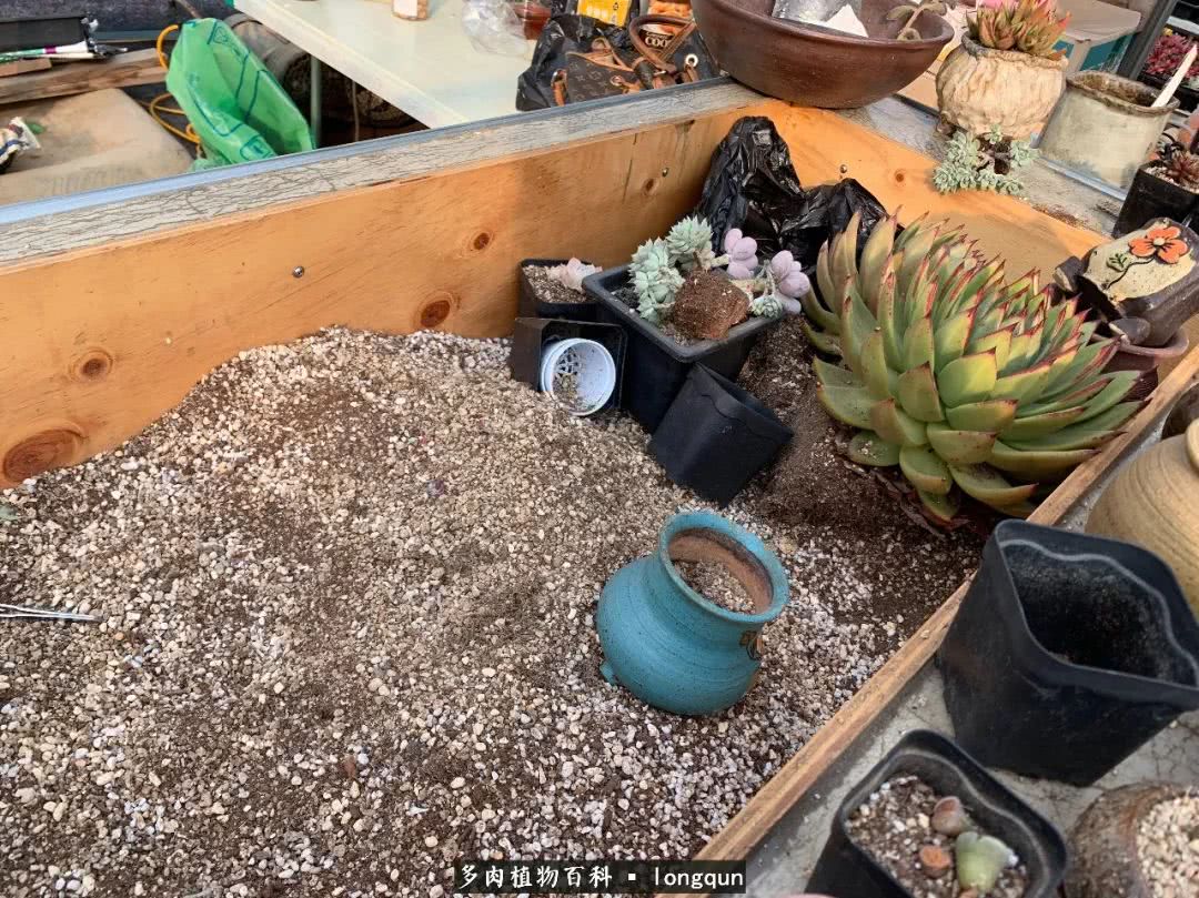 探访韩国肉锥大棚,记一次走访纪录片