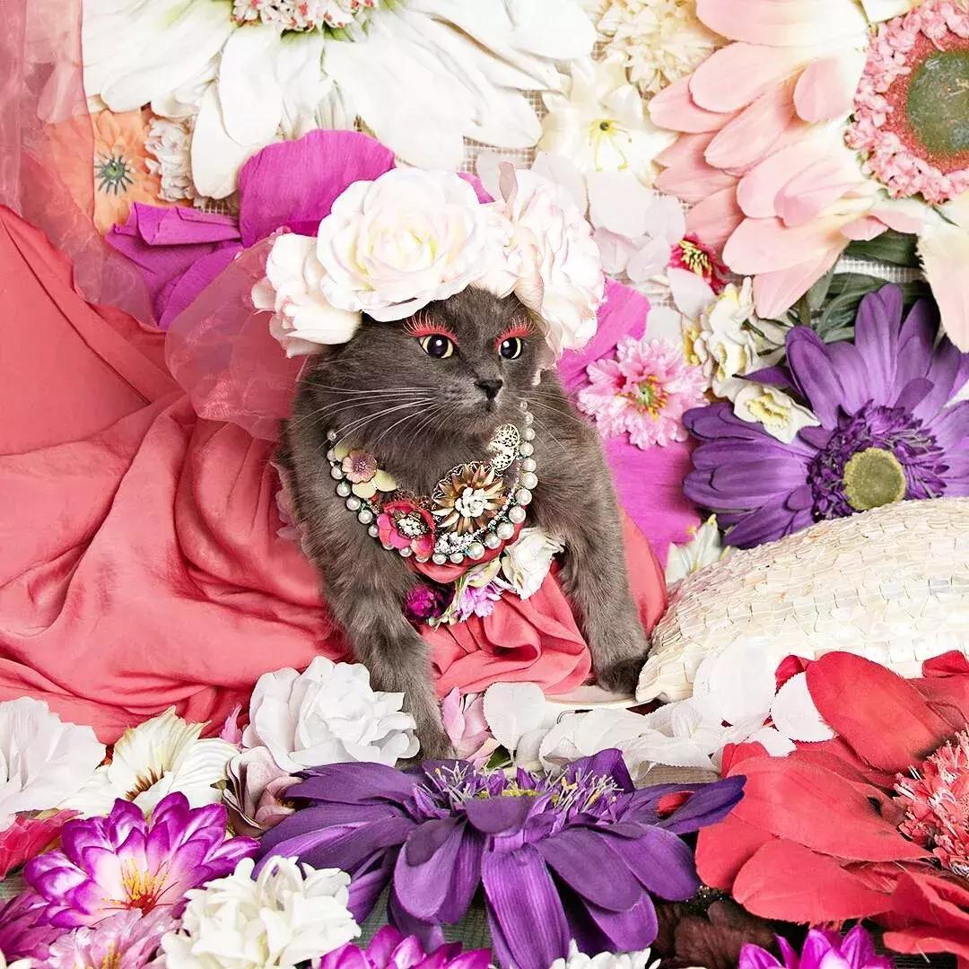 gucci和supreme联名马丁靴,guccisupreme鞋子