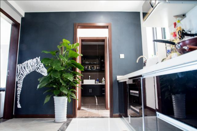 科研海归在摩玛城买了一室一厅，这样改造，小家变大家