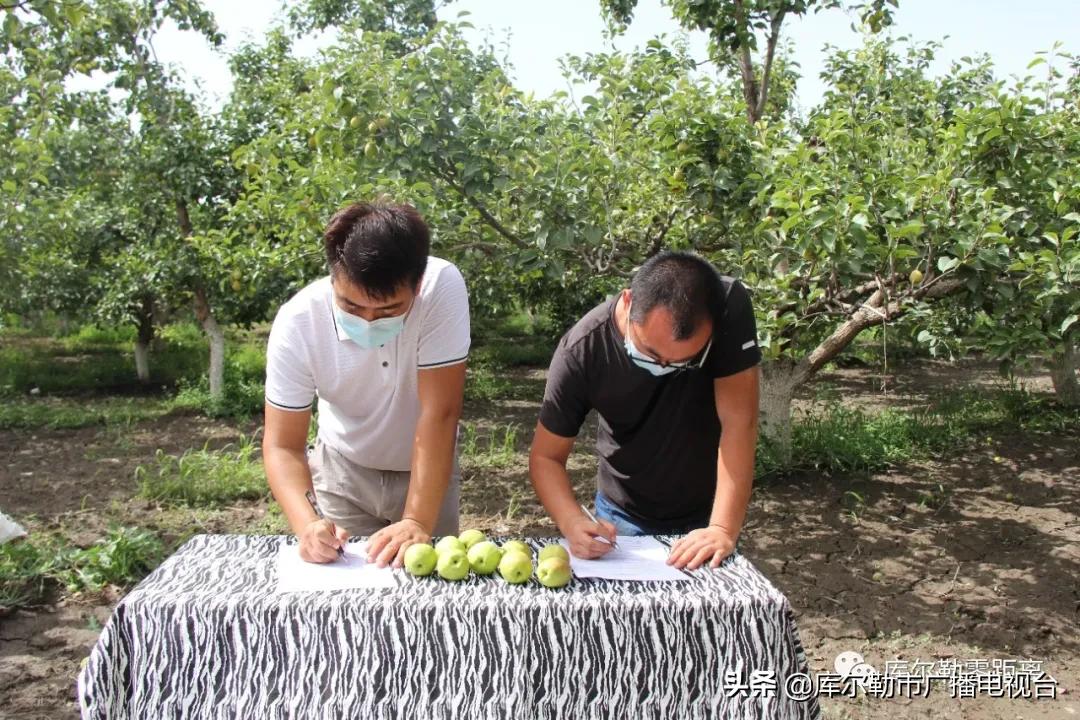 库尔勒市多措并举全力做好香梨购销工作