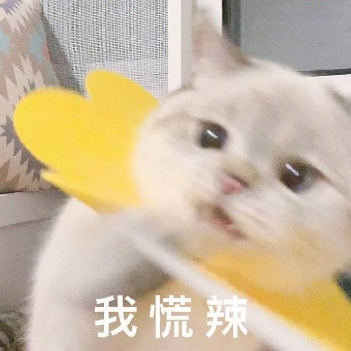 感动表情包图片大全微信,微信小脸谱表情包大全