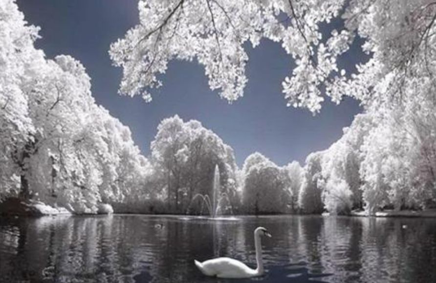 「原创诗词」管恩锋|一缕凉风送佳讯春芽初孕又阳天