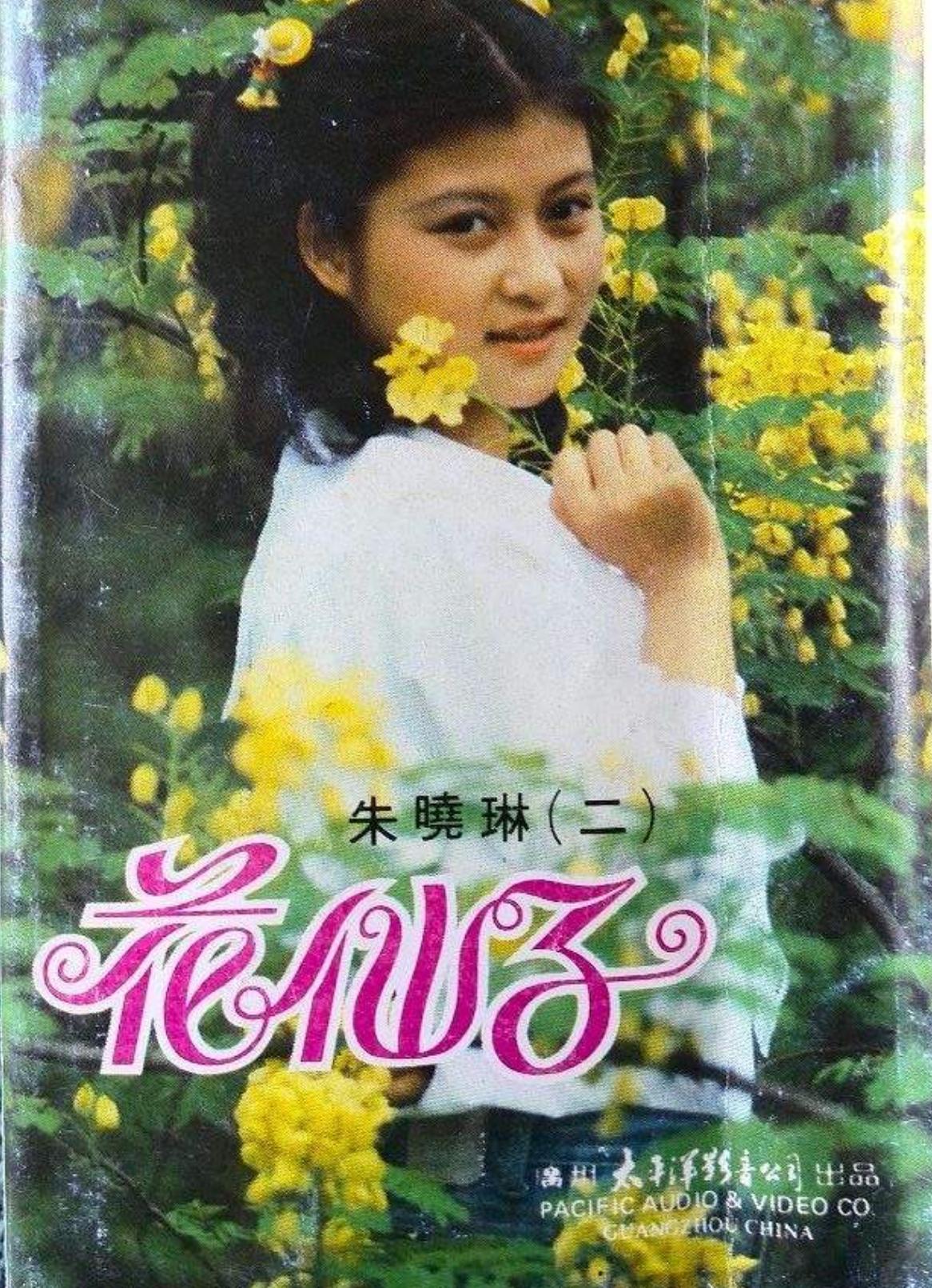 朱晓琳退出歌坛的原因,朱晓琳《妈妈的吻》