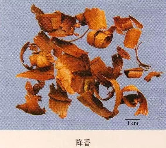中药材图片大全大图带药名,200多味中药材图谱带图