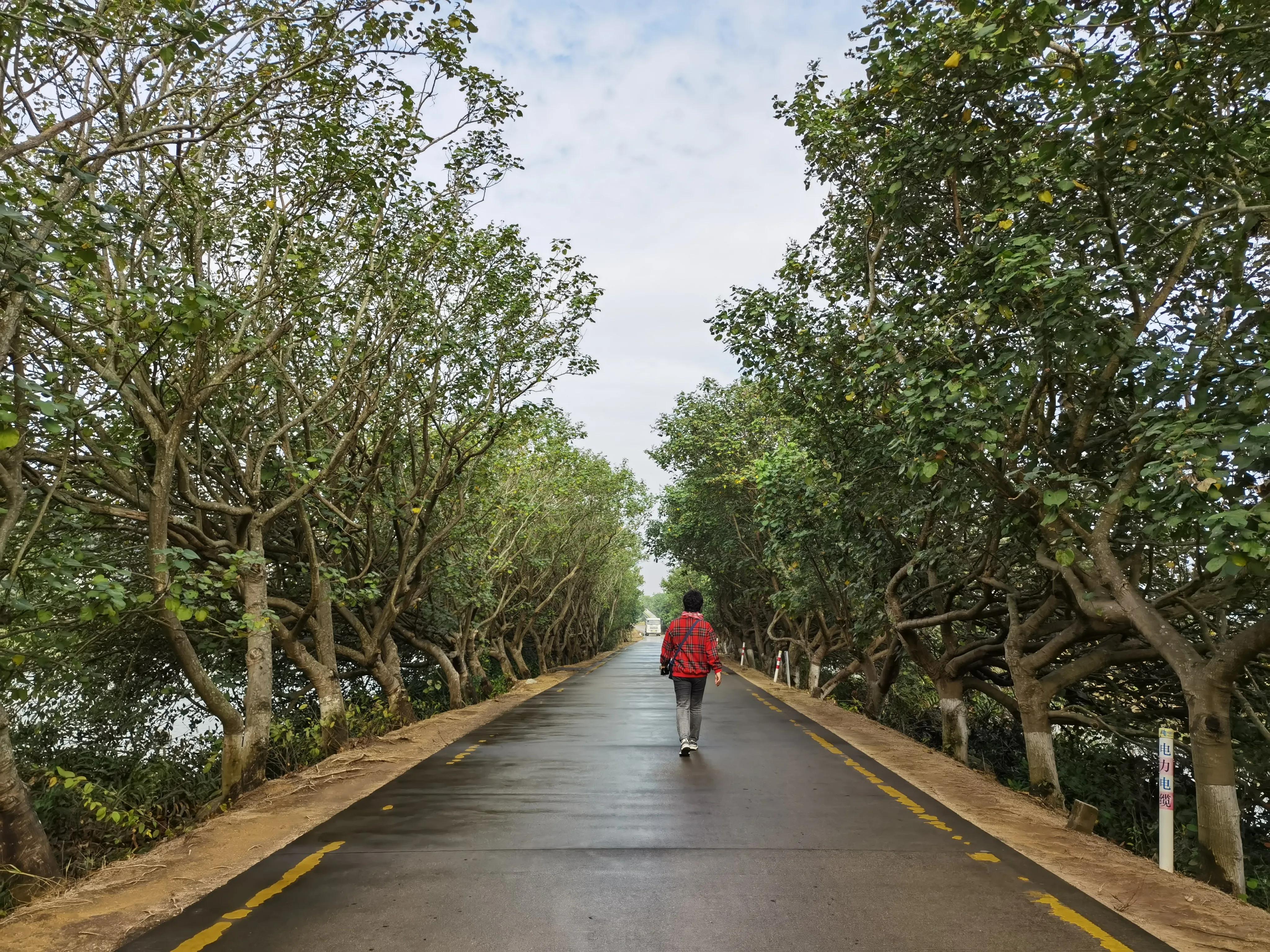 珠海4天3晚游玩攻略,珠海3天游玩攻略图
