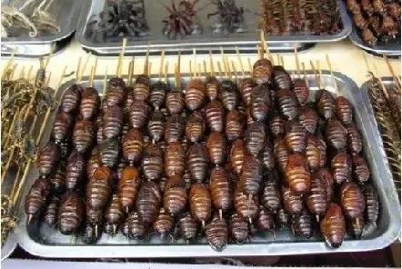 西双版纳有哪些美食值得一吃,西双版纳当地的特色美食是什么