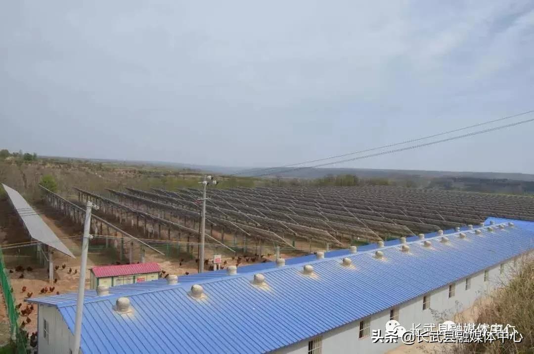 致富经|长武绿皮鸡蛋成为群众脱贫致富的“金蛋蛋”