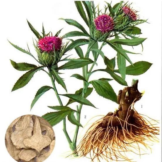 过敏性鼻炎效果最快的药,过敏性鼻炎用药效果一览表