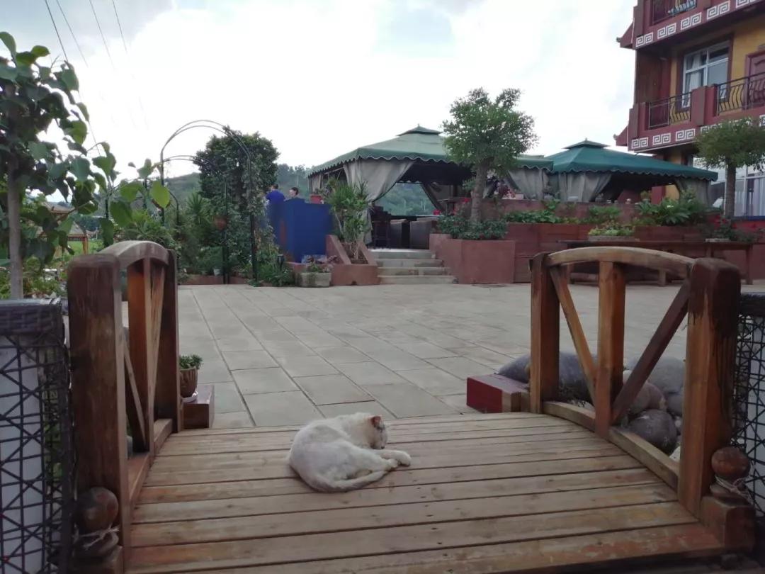 厌学沉迷手机游戏的家庭指导方案,高二孩子沉迷手机游戏厌学怎么办