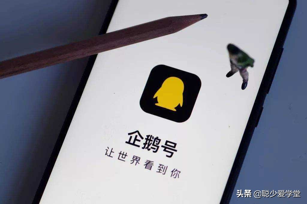 企鹅怎么运营,企鹅自媒体怎么注册挣钱