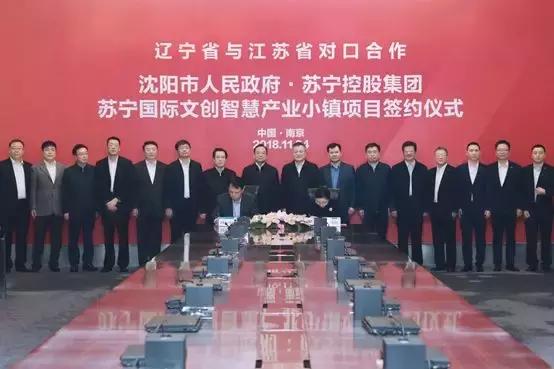 张近东苏宁发展规划,张近东引进苏宁易购