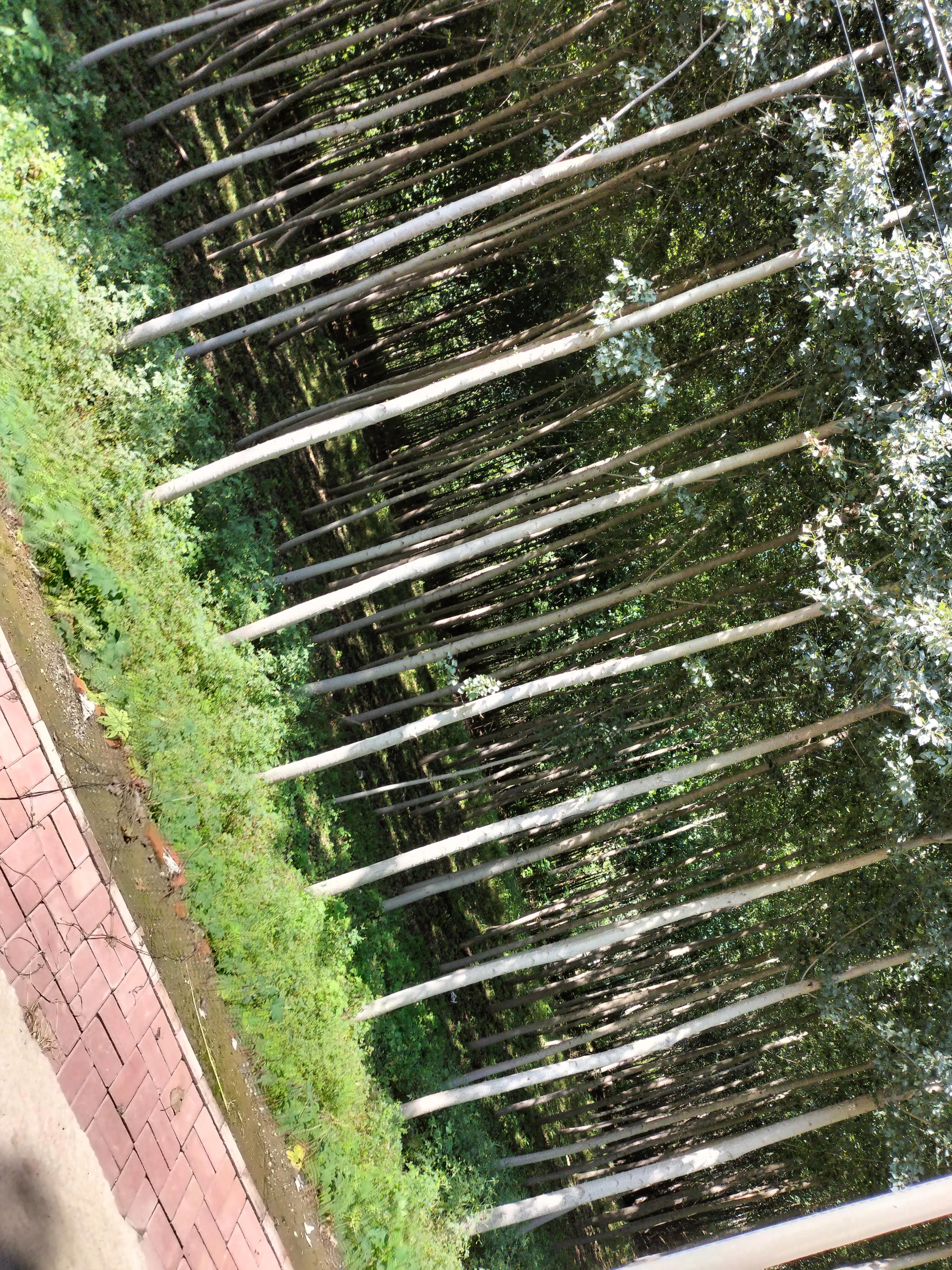 采访记录表模板,采访记录表四年级下册