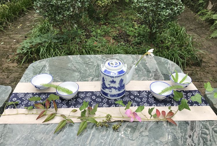 云南滇红品鉴,茗香识茶