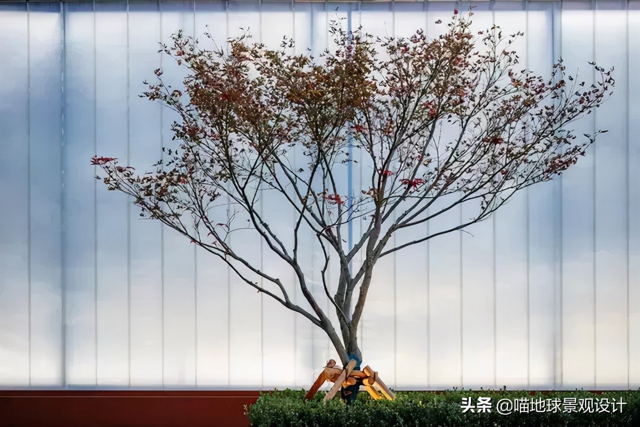 适合南方庭院种植100种花树,16种耐寒的庭院花卉植物