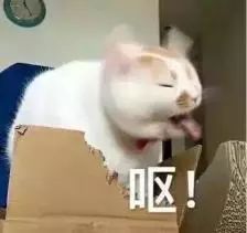 名门泽佳鉴别,名门泽佳眼霜真假辨别