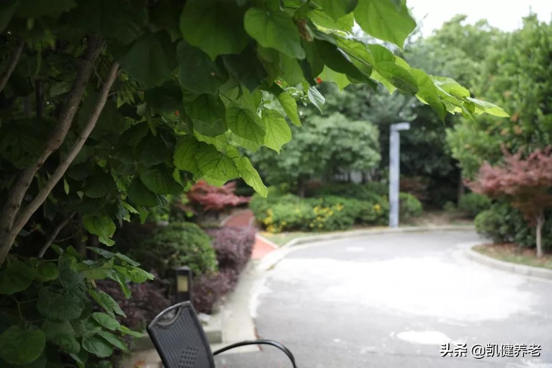 如何为“挑剔”的父母选择养老院？