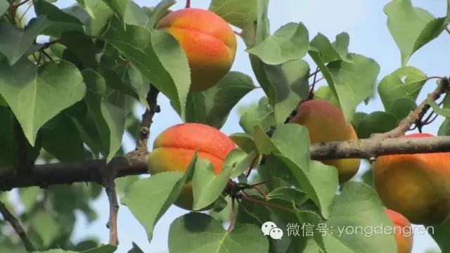 甘肃兰州最大的几个镇,兰州第一大县是哪个县