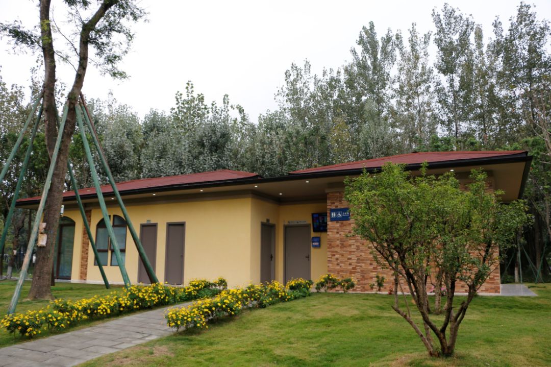 城管民生举措暖心,城管为民干实事有哪些