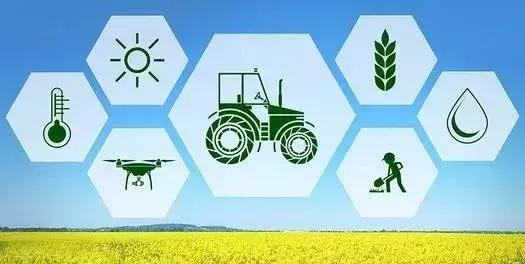 拼多多和阿里扶贫对比图,深度阿里