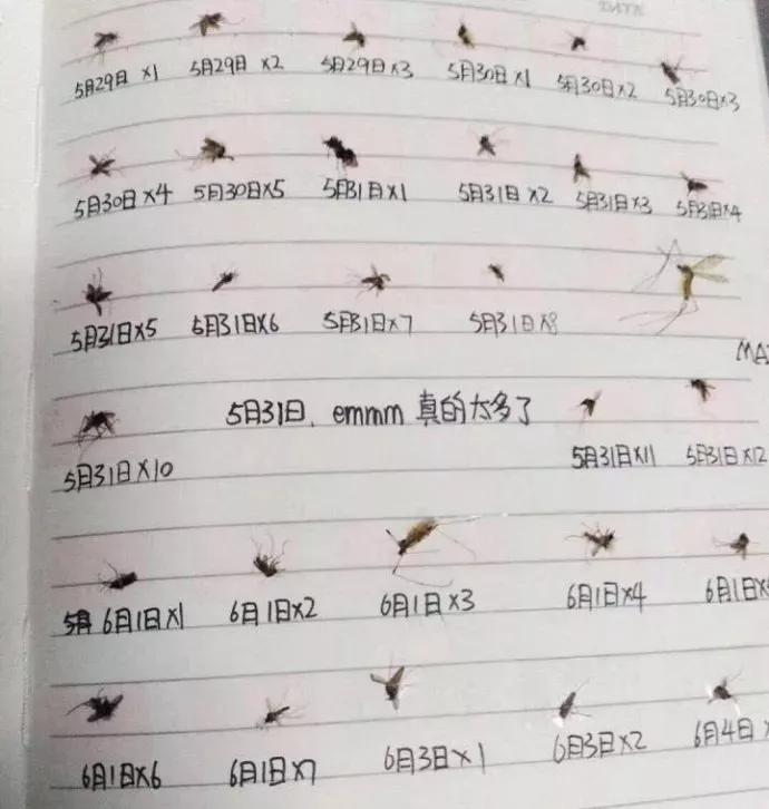 宝宝总爱招蚊子？如何驱蚊、止痒？真正有效的方法，只有这几种