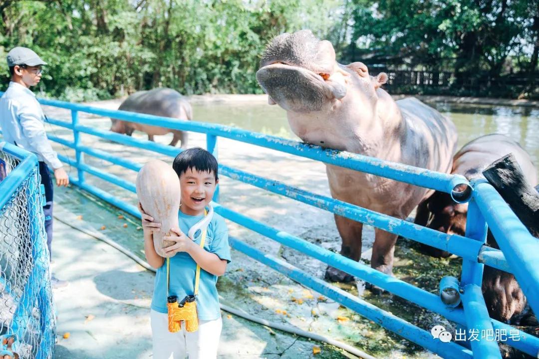 长隆飞鸟乐园怎么去长隆欢乐世界,汉溪长隆地铁站去长隆飞鸟乐园