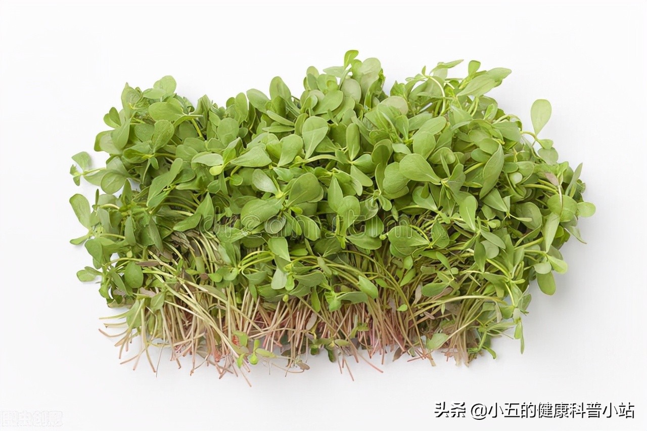 前列腺炎吃前列安通与舒通哪个好,中医聊前列腺炎