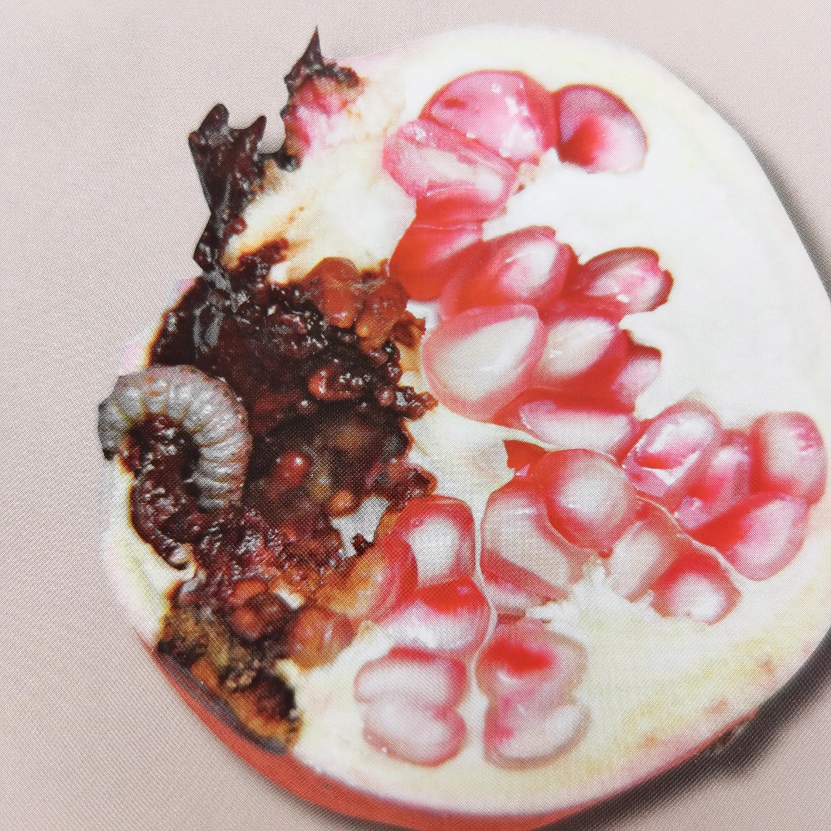 食心虫如何防治呢?有两种方法一种是化学防控,一种是物理防控