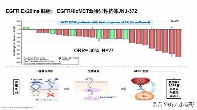 肺癌基因一类二类三类突变解读,肺癌基因突变才能靶向治疗