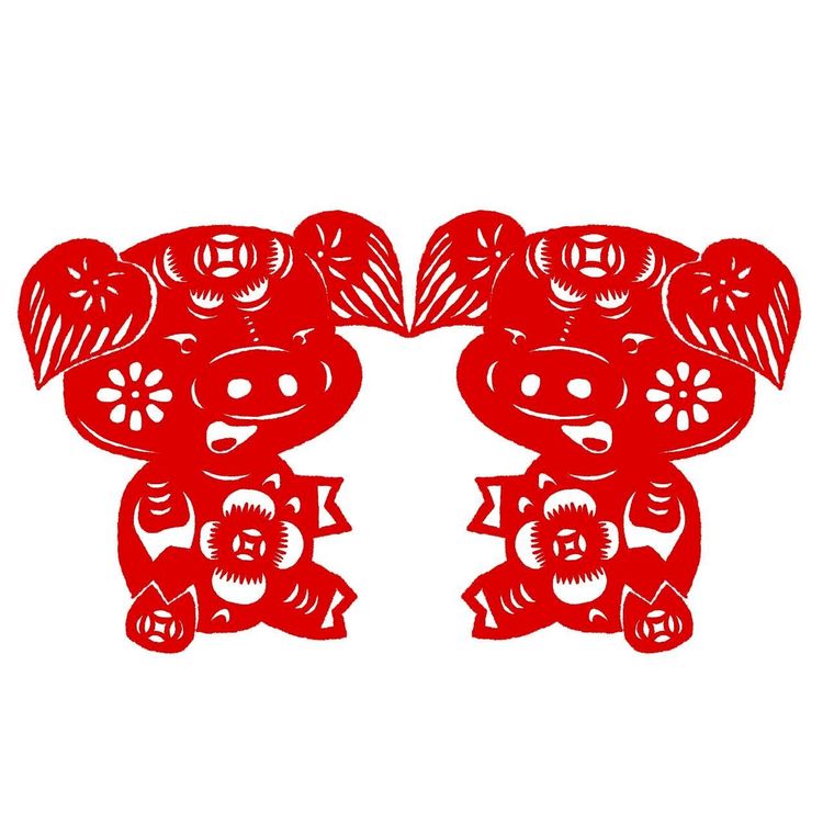 从丁亥到己亥—武昌水果湖中学六六届高三（1）班同学聚会本命年