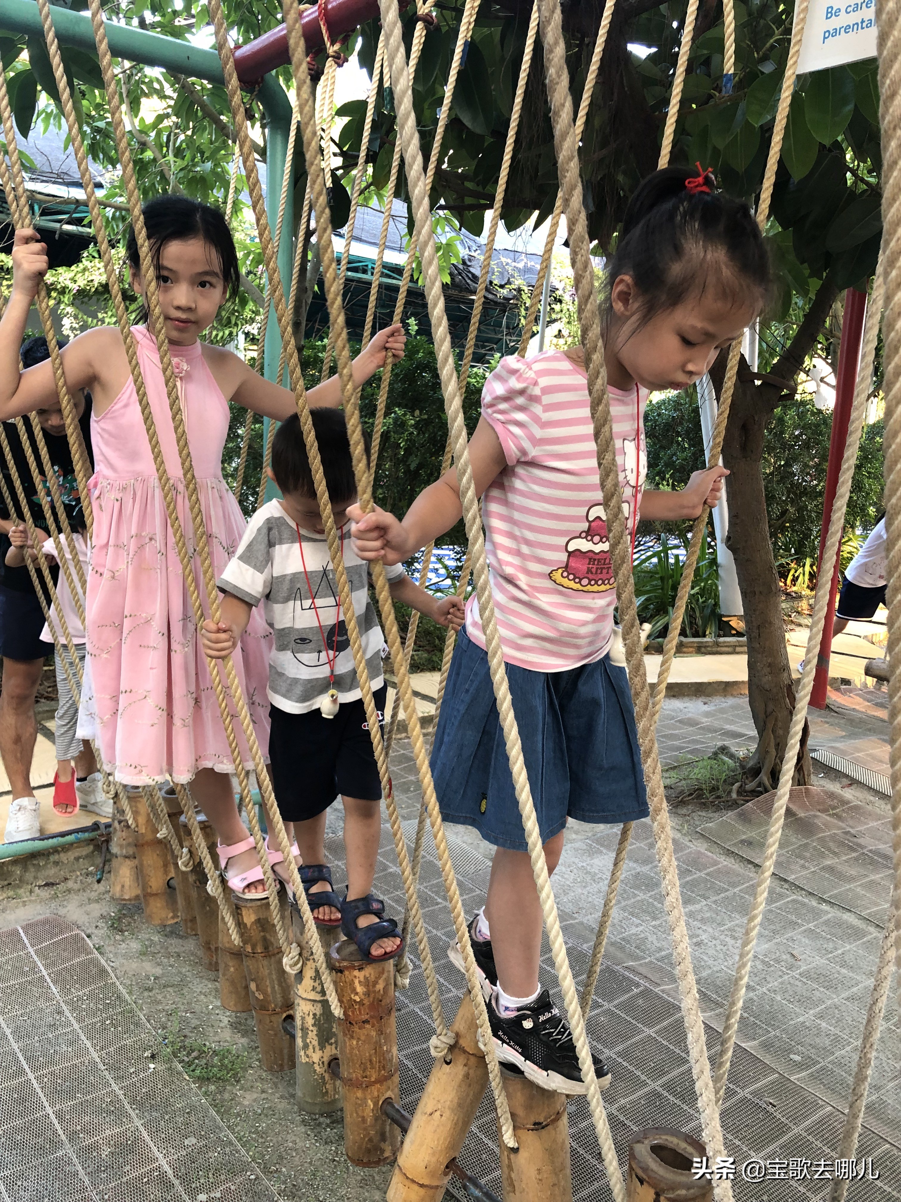 南沙百万葵园游记,南沙百万葵园亲子游